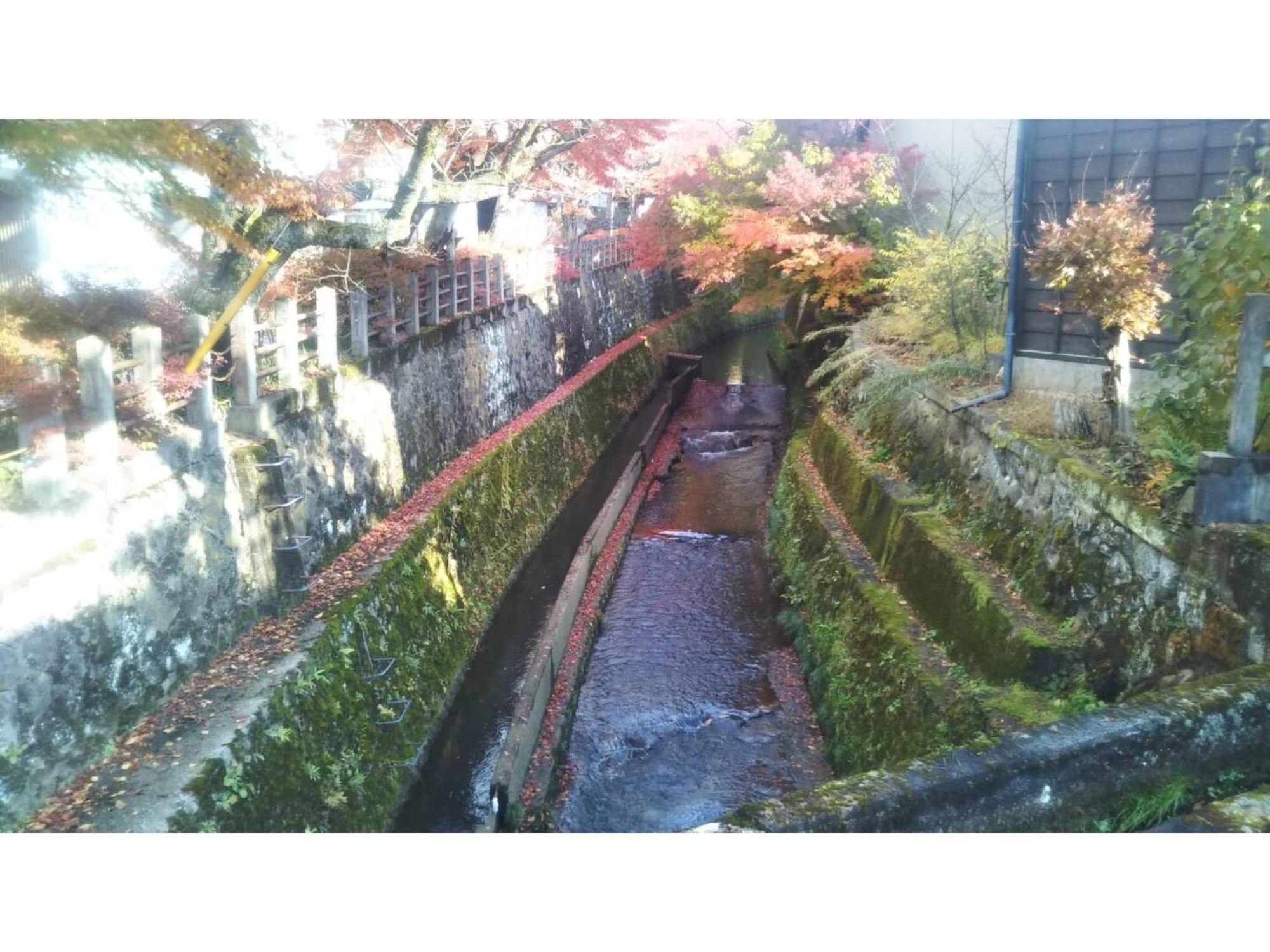 Tomareru Sento Taka No Yu - Vacation Stay 00567V Takayama  Exteriör bild